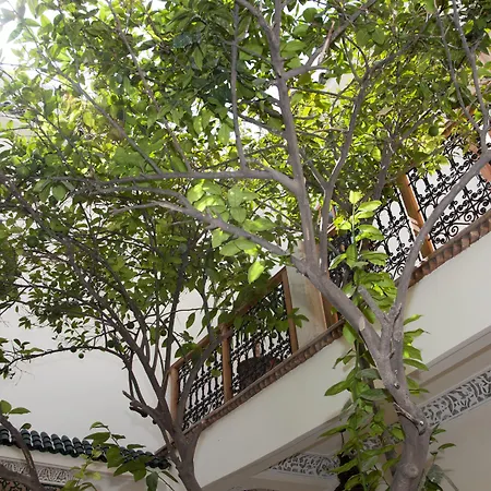 Riad Granvilier-3