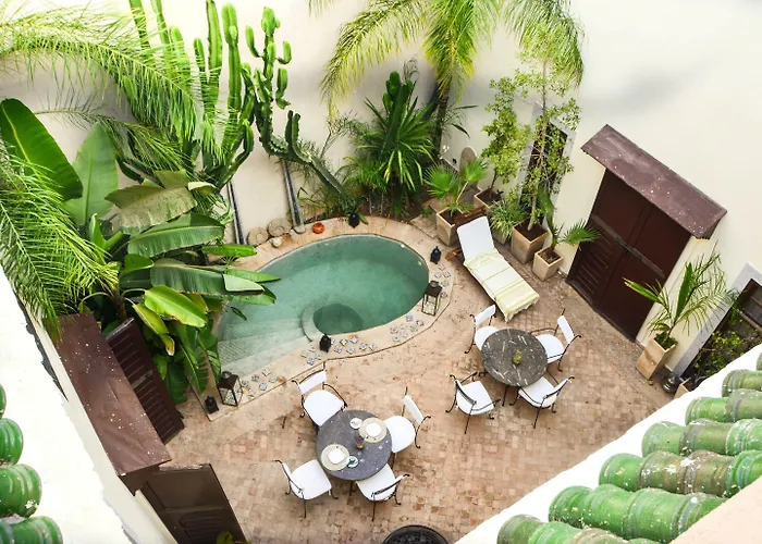 Les Ammonites And Spa